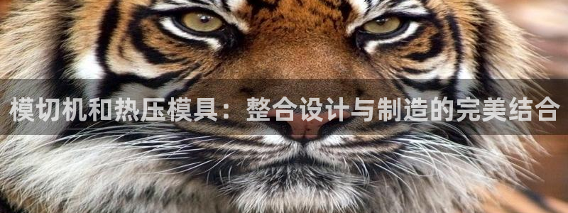 易倍达科技有限公司官网：模切机和热压模具：整合设计与制造