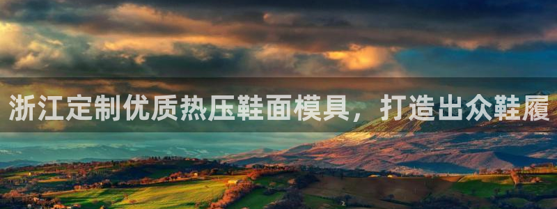 易倍申片：浙江定制优质热压鞋面模具，打造出众鞋履