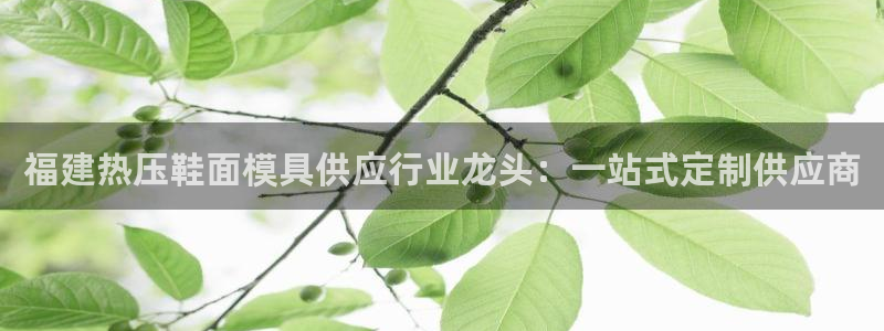 易倍下载：福建热压鞋面模具供应行业龙头：一站式定制供应商