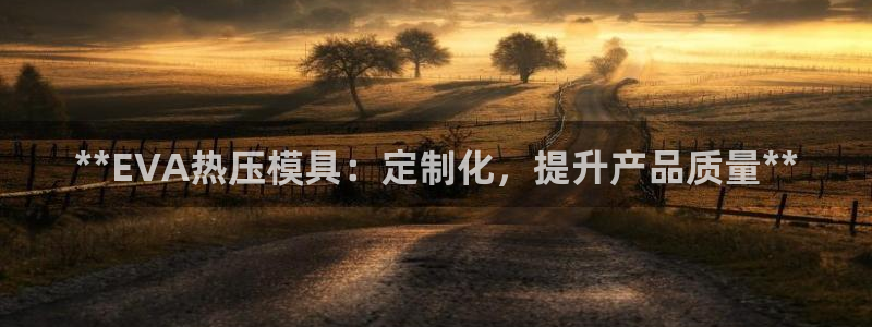 易倍申厂家：**EVA热压模具：定制化，提升产品质量**