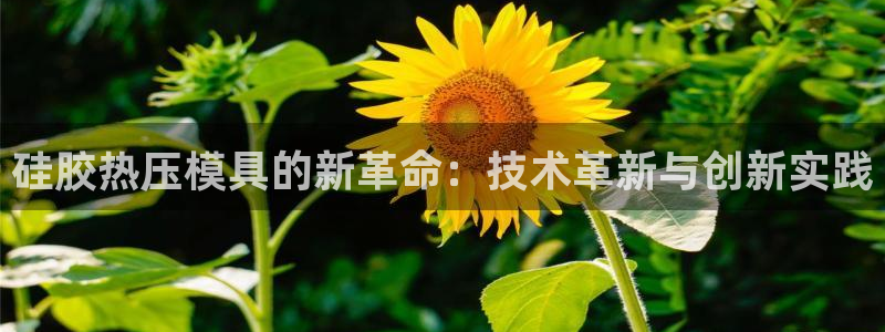 emc倍频超了:硅胶热压模具的新革命:技术革新与创新实践