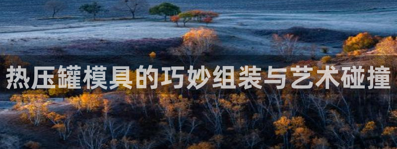 EMC易倍官方网址：热压罐模具的巧妙组装与艺术碰撞