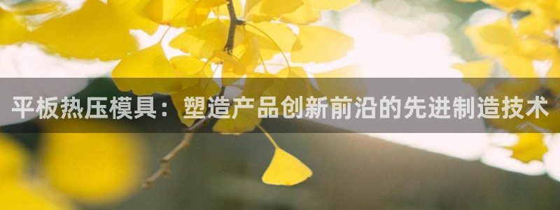 易倍申怎么样：平板热压模具：塑造产品创新前沿的先进制造技