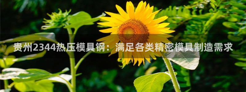 emc32软件安装：贵州2344热压模具钢：满足各类精密