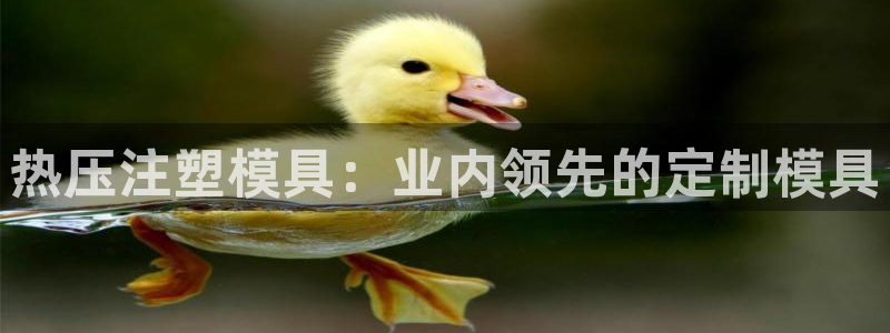 易倍达科技有限公司：热压注塑模具：业内领先的定制模具