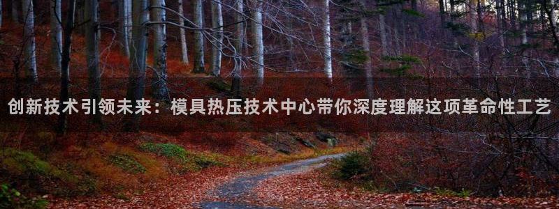 北京易倍思教育怎么样：创新技术引领未来：模具热压技术中心