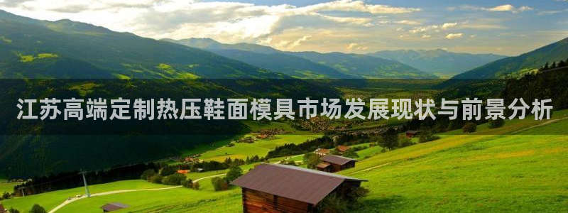 易倍达科技有限公司代运营:江苏高端定制热压鞋面模具市场发