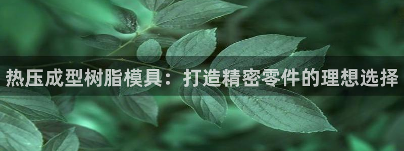 四川易倍易企业管理有限公司：热压成型树脂模具：打造精密零