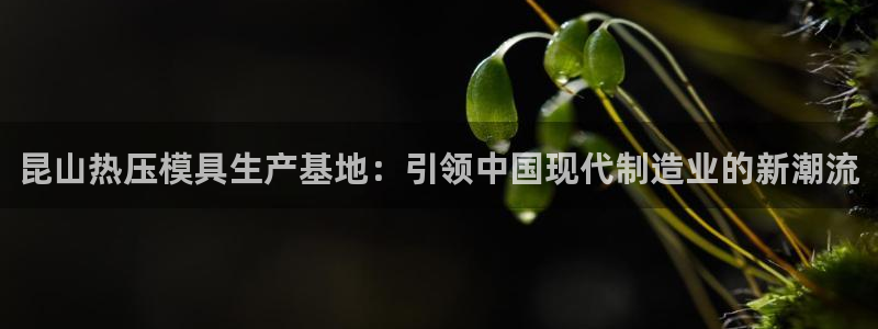 emc32软件安装：昆山热压模具生产基地：引领中国现代制