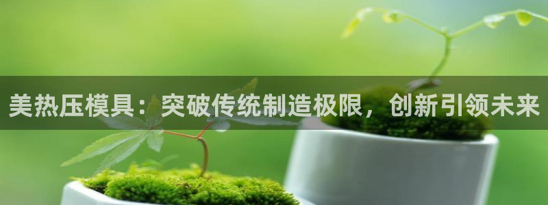 emc易倍首存500送球衣：美热压模具：突破传统制造极限