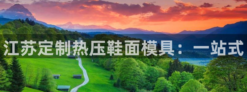 四川易倍易企业管理有限公司：江苏定制热压鞋面模具：一站式