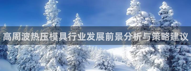 易倍申的包装规格：高周波热压模具行业发展前景分析与策略建