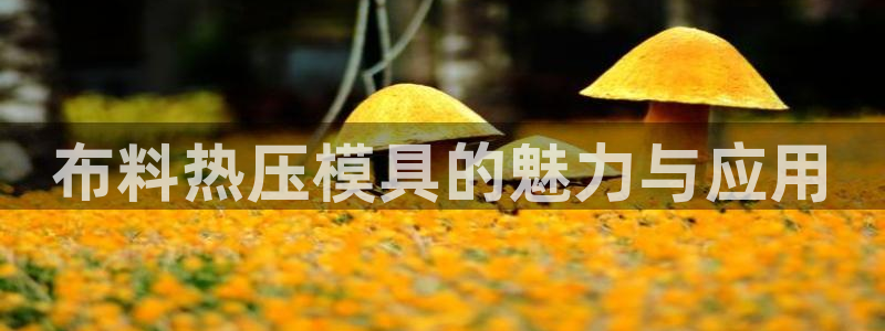 emc易倍官方下载：布料热压模具的魅力与应用