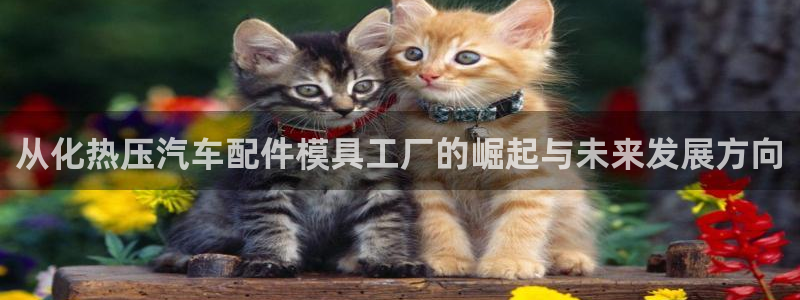 易倍单词官网下载：从化热压汽车配件模具工厂的崛起与未来发