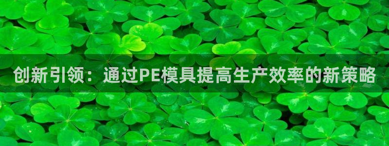 易倍申片说明书：创新引领：通过PE模具提高生产效率的新策