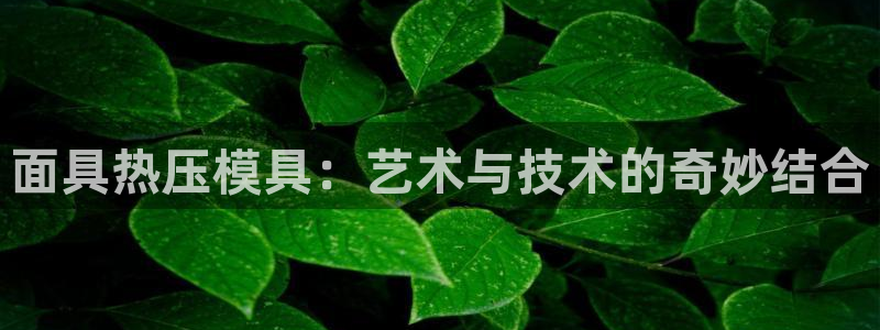 易倍达科技有限公司官网：面具热压模具：艺术与技术的奇妙结