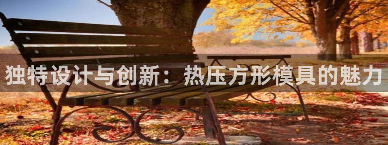 易倍企业管理软件怎么样：独特设计与创新：热压方形模具的魅