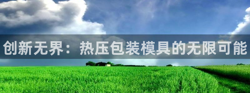 易倍电竞安装教程：创新无界：热压包装模具的无限可能