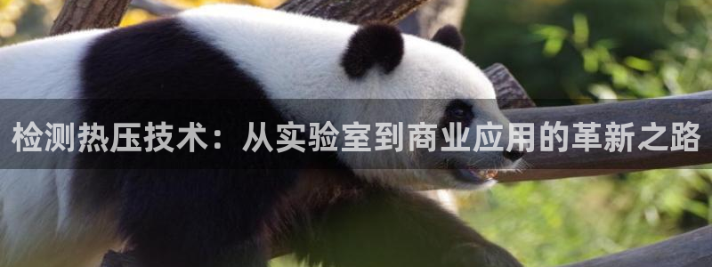 易倍易倍单词官方网站：检测热压技术：从实验室到商业应用的