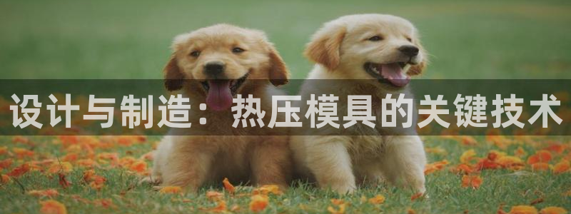 emc易倍官网登录入口：设计与制造：热压模具的关键技术