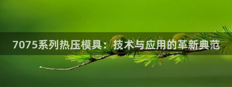 杭州易倍达上班怎么样：7075系列热压模具：技术与应用的