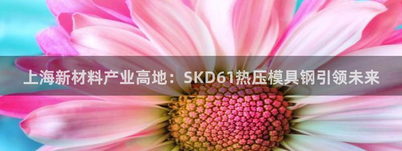 易倍单词登录平台：上海新材料产业高地：SKD61热压模具