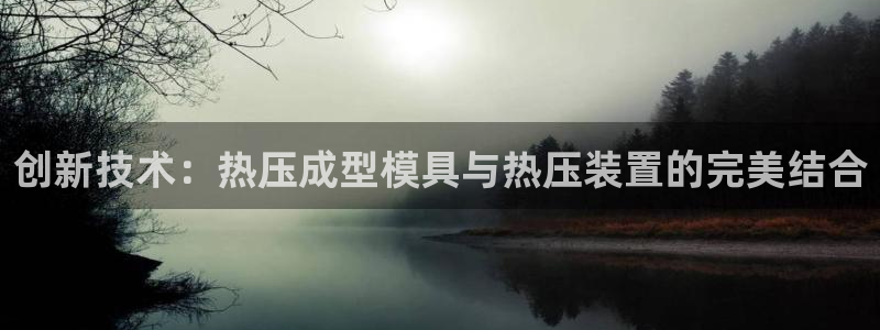 易倍纤官网：创新技术：热压成型模具与热压装置的完美结合