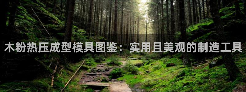 上海易倍投资有限公司:木粉热压成型模具图鉴:实用且美观的