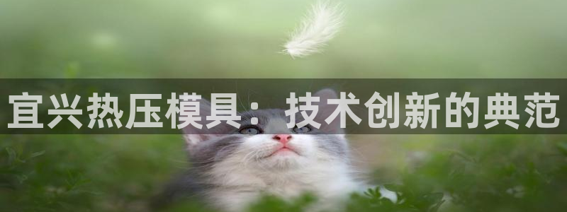 易倍网络技术有限公司是干嘛的