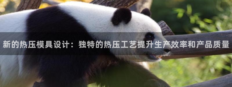 EMC易倍官方平台：新的热压模具设计：独特的热压工艺提升