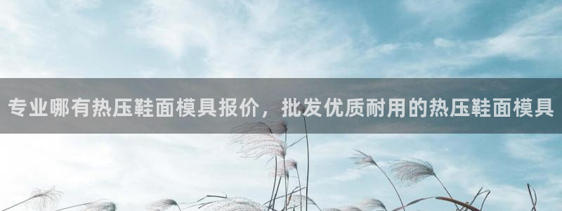 EMC易倍官网招聘：专业哪有热压鞋面模具报价，批发优质耐