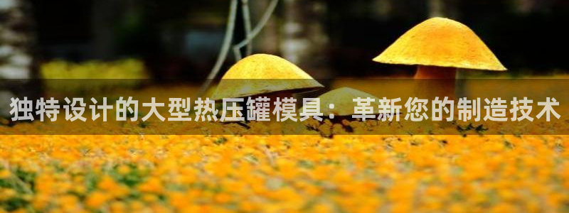 易倍单词官方网站下载：独特设计的大型热压罐模具：革新您的