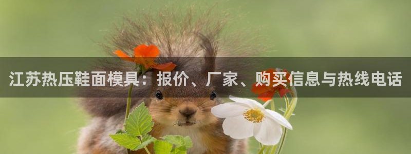 emc易倍官方平：江苏热压鞋面模具：报价、厂家、购买信息